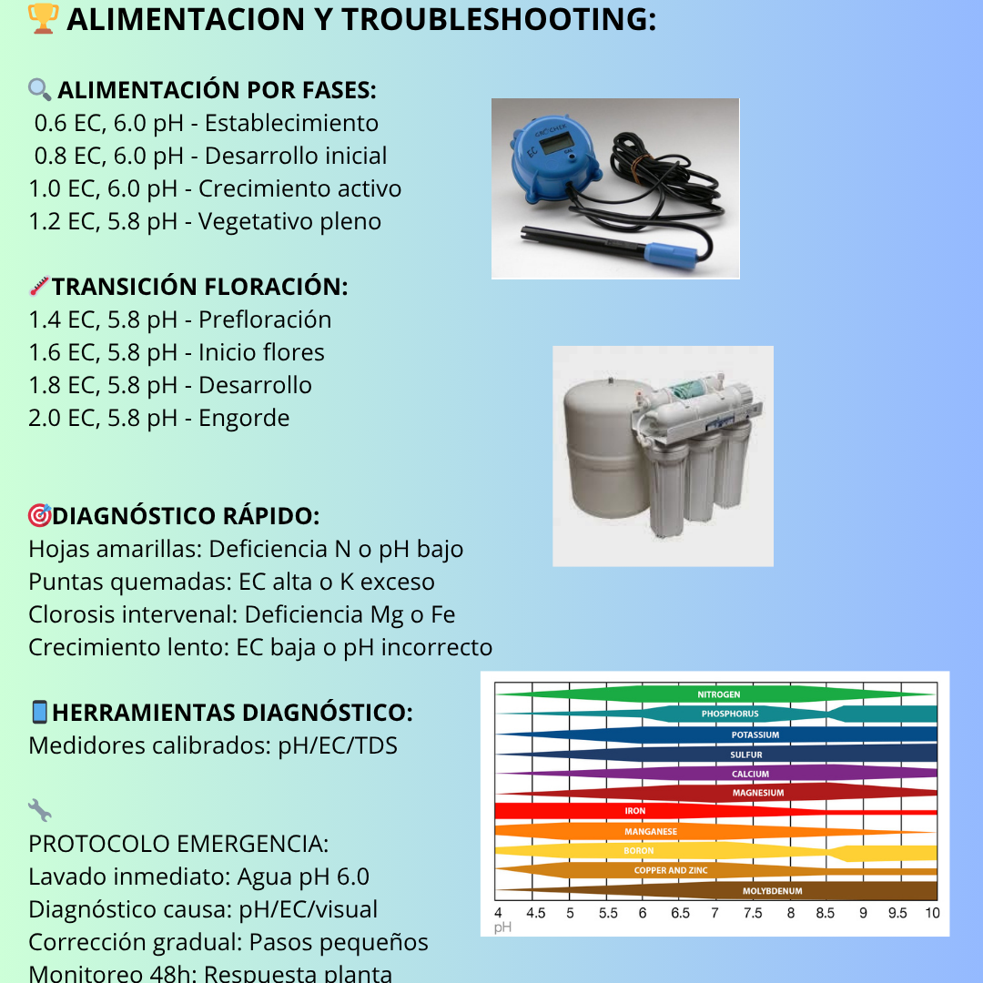 Guía pH 8